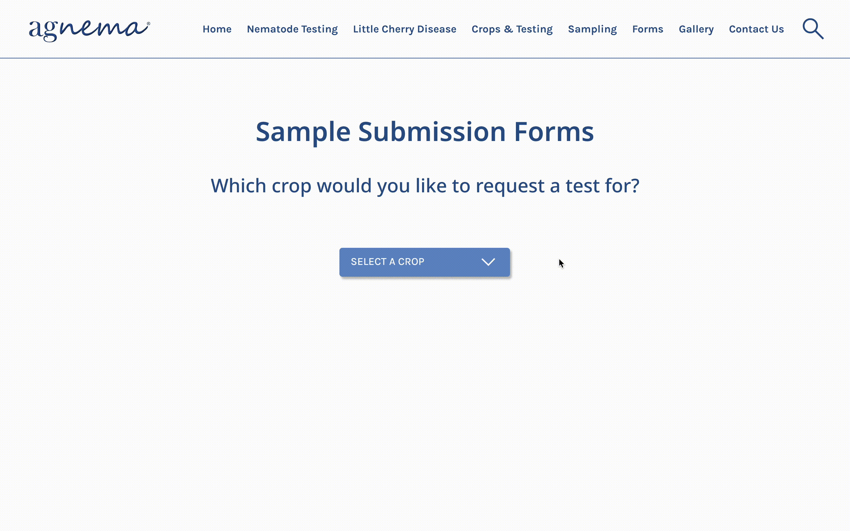 Mockups After Ideation