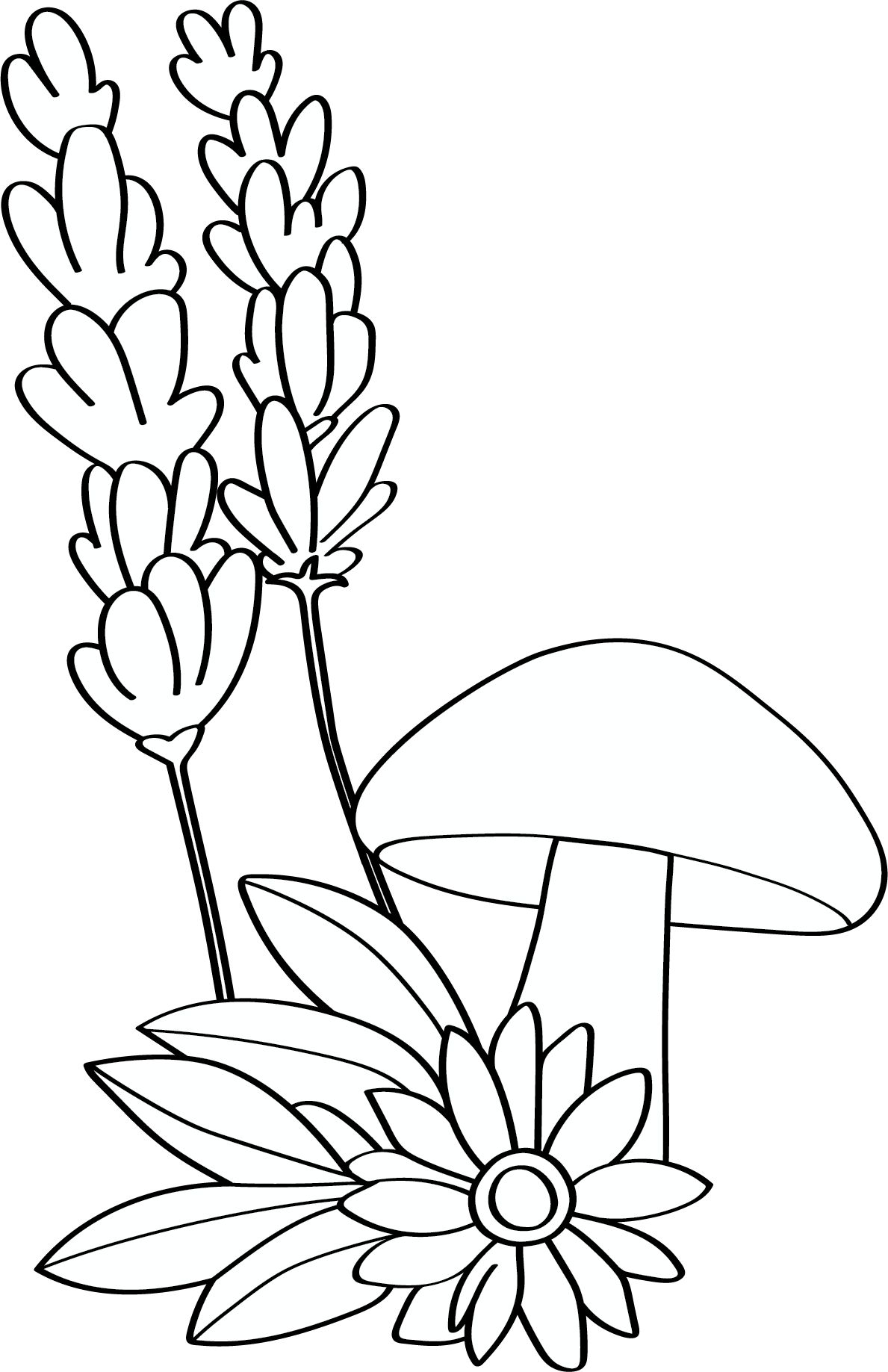 assorted mushroom flower