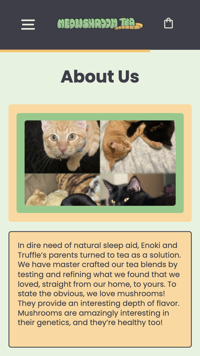 HIGH FIDELITY MOCKUPS