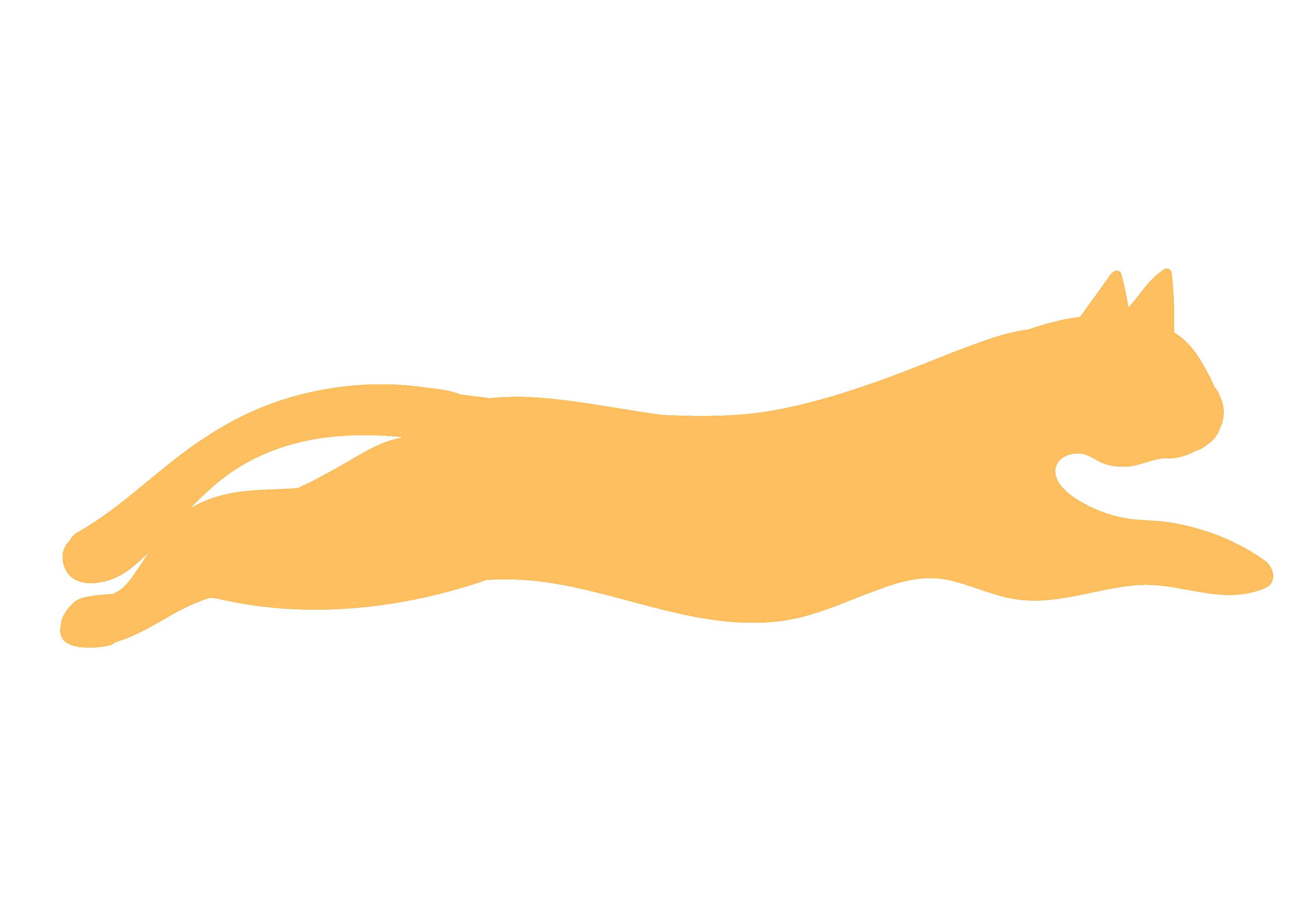 cat running animation